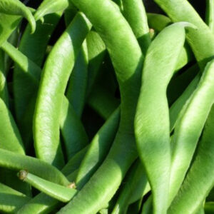 Judia Verde Plana Kg