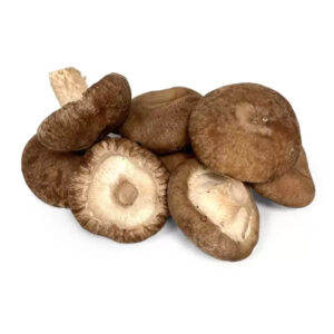 Shiitake Granel Kg