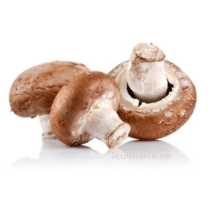 ChampiÑon Portobello kg