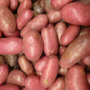 Patata roja Kg