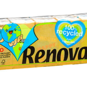 PaÑuelos Renova Green 10UD
